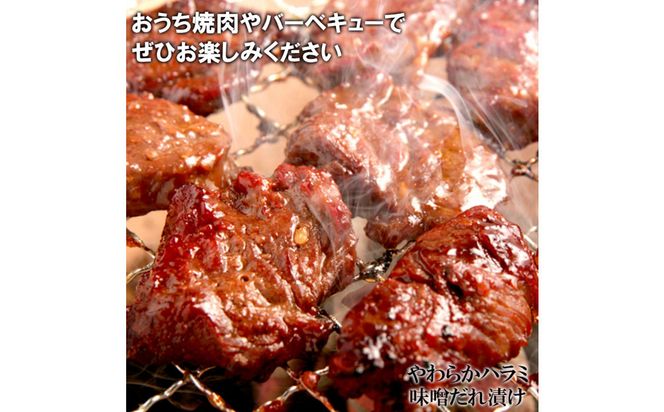 焼肉3種盛りセット(ハラミ・カルビ・マルチョウ)4.8kg 372013_KA052