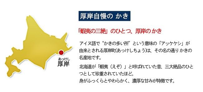 カキ 生食用 北海道 厚岸産 殻かき 新ブランド弁天かき A3サイズ  20個 牡蠣 魚貝類 生牡蠣 殻付き牡蠣 カキ