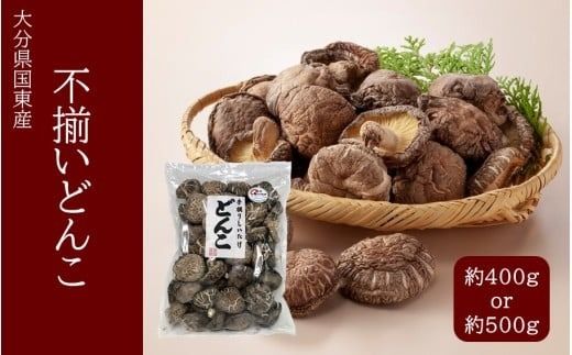 y啪szy󂠂zyIׂeʁzYsiǂ񂱁j_2634R