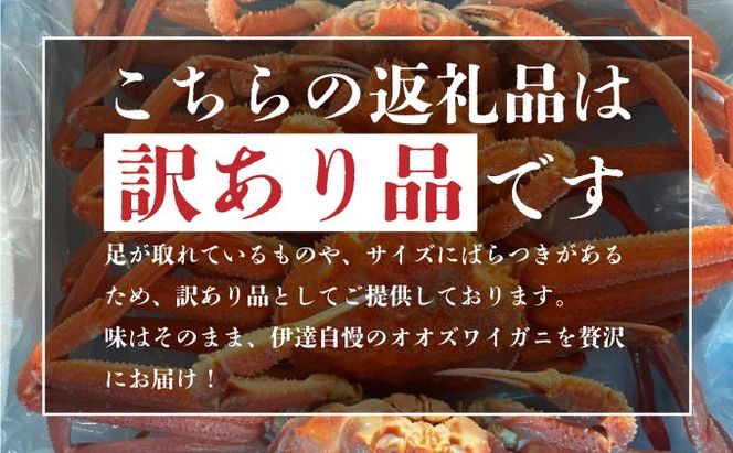 オオズワイ姿（訳あり品）5kg｜かに カニ ズワイガニ オオズワイ【ysk-003】