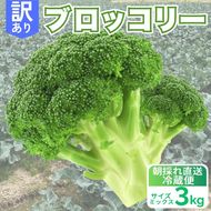 訳あり ブロッコリー 約3kg サイズミックス 朝採れ 当日 発送 新鮮 採れたて 産地直送 農家直送 国産 野菜 シャキシャキ 食感 茎 まで 甘い 栄養満点 ご家庭用 サラダ スープ お弁当 彩り野菜 旬 の 味覚 離乳食 食事管理中 に おすすめ 緑黄色野菜 冷凍 保存 可能 ストック 便利 人気 期間限定 旬 の 味覚 食卓 へ 愛媛県 愛南町 愛なんよ