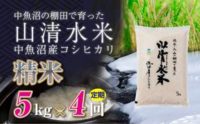 【定期便／全4回】精米5kg 新潟県魚沼産コシヒカリ「山清水米」 