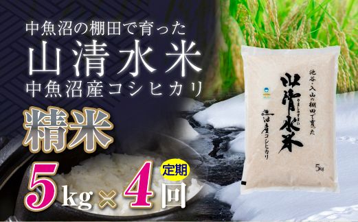 【定期便／全4回】精米5kg 新潟県魚沼産コシヒカリ「山清水米」 