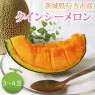 【2026年5月より順次発送】クインシーメロン 3～4玉｜メロン クインシーメロン フルーツ 果物 くだもの 先行予約 茨城県 行方市(BW-17-1)
