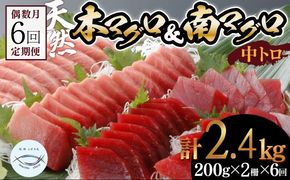 【６回定期便】天然本マグロ　天然南マグロ　中トロ　各1柵　偶数月にお届け　eb018