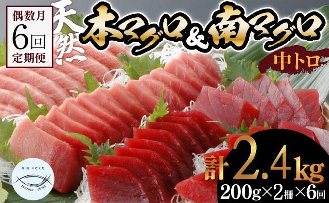 【６回定期便】天然本マグロ　天然南マグロ　中トロ　各1柵　偶数月にお届け　eb018