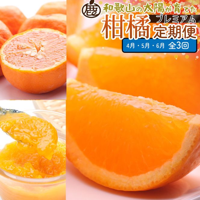 ya̎R쒬zI kMi4`6jS3 mIKE296n 303446_BB90205