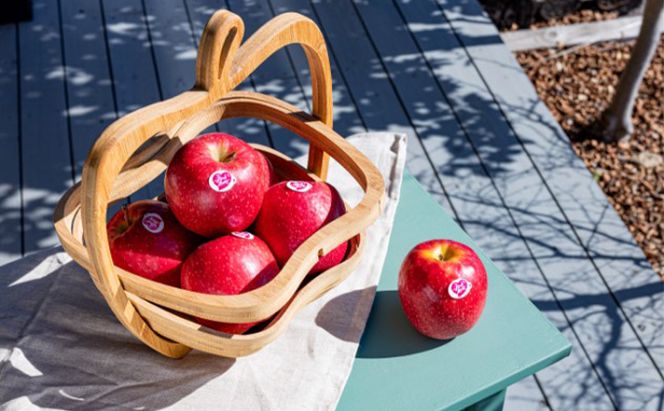 中松井農園 ピンクレディー約5kg 20～25玉 果物 フルーツ りんご 長野県産 信州 信州のリンゴ 酸味 小ぶり 芳醇 風味 クッキングアップル デザート 食後 爽やかな酸味 希少