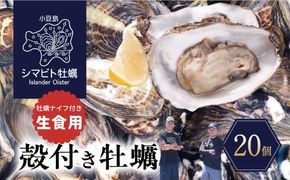 【 小豆島 】小豆島産 シマビト牡蠣　生食用殻付き牡蠣　20個　2026年1月8日以降発送 牡蠣 カキ 生牡蠣 生食用 殻付き 