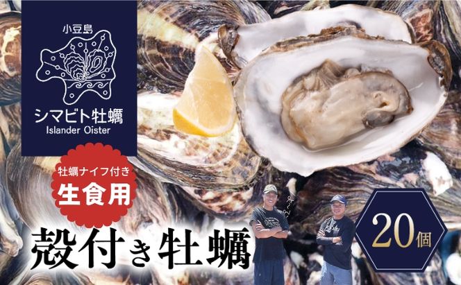 【 小豆島 】小豆島産 シマビト牡蠣　生食用殻付き牡蠣　20個　2026年1月8日以降発送 牡蠣 カキ 生牡蠣 生食用 殻付き 