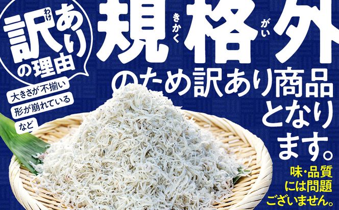 【小分け・容量が選べる】しらす 訳あり 400g～2kg しらす干し 小分け 冷凍 シラス ごはん おかず チャーハン パスタ 料理 大きめ ランキング こだわり 鮮度 天塩 マル伊商店 愛知県 南知多町