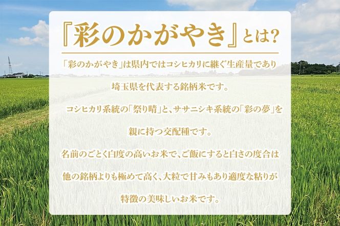 BN042　スマート農業技術を活用した　令和６年産　彩のかがやき白米　５キロ