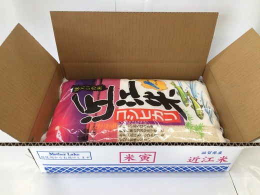 【新米】令和8年産　近江米　こしひかり【5kg×1袋】【T019W5】（滋賀県　近江八幡市）