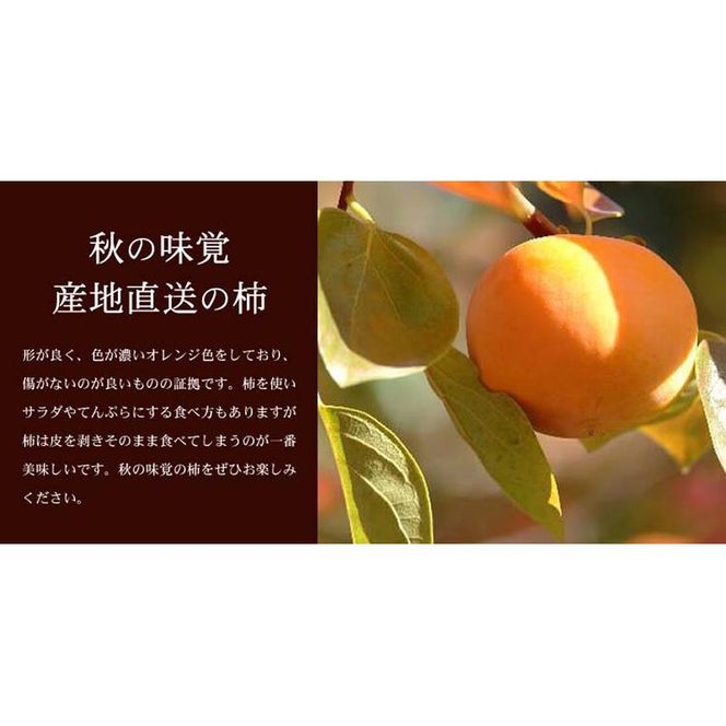 和歌山の種なし柿 【秀品 サイズ・品種おまかせ】約7.5kg 和歌山県産 フルーツ かき 紀伊国屋文左衛門本舗