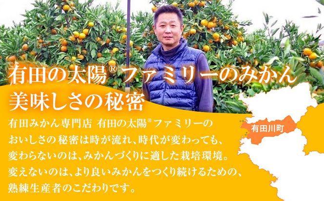 有田みかん専門店 有田の太陽®ファミリー 早生または晩生 有田みかん 4.5kg＋補償分100g 山採れ・サイズ・等級 混合 FH05