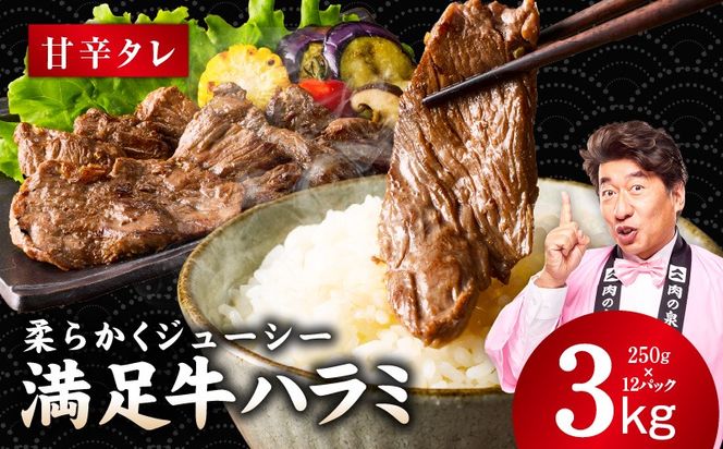 G5294 【満足牛ハラミ】甘辛タレ漬け 合計3kg 【スピード発送 味付け ハラミ 小分け 焼くだけ 簡単調理 BBQ 牛肉 250g×12P 普段使い】