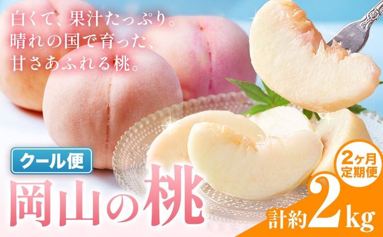 [2ヶ月定期便]桃 岡山の桃 約1kg(3〜5玉)×2回発送[7月上旬-8月末頃発送]岡山県 笠岡市 白桃 岡山 はくとう スイーツ フルーツ 果物 デザート 旬 モモ もも 送料無料 果物 清水白桃 白鳳 白麗 クール便---kasaoka_zsytei_322_10m2---