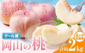 【2ヶ月定期便】桃 岡山の桃 約1kg(3～5玉)×2回発送《7月上旬-8月末頃発送》岡山県 笠岡市 白桃 岡山 はくとう スイーツ フルーツ 果物 デザート 旬 モモ もも 送料無料 果物 清水白桃 白鳳 白麗 クール便---kasaoka_zsytei_322_10m2---
