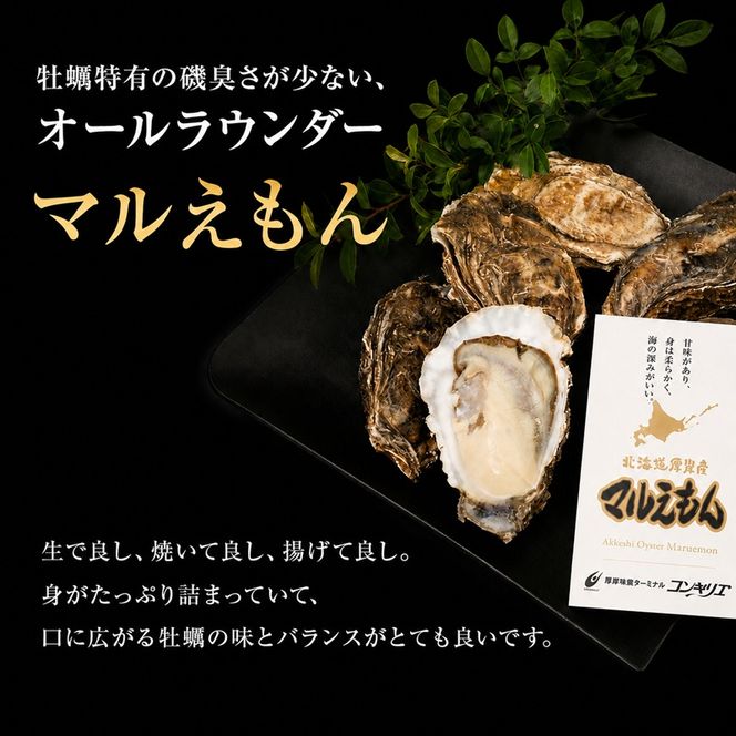 厚岸産『 カキえもん 』『 マルえもん 』 食べ比べ セット 北海道 牡蠣 カキ かき 生食用 生牡蠣 殻付 食べ比べ 魚介類 