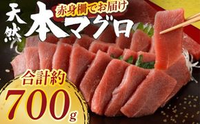 天然本まぐろ 赤身サク 合計約700g 【日時指定可】 刺身 お刺し身 柵 マグロ 鮪 ちらし寿司 手巻き寿司 おかず 海鮮丼 マグロ丼 マグロ漬け丼 魚介類 真空パック 父の日 惣菜 訳あり 規格外 高豊丸 冷凍