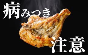 百貨店でも取扱い！本場丸亀の職人がつくる骨付き鳥2本 骨付き鳥 骨付き鶏 ローストチキン チキンレッグ 焼鳥 鶏肉 骨付き肉 お肉 モモ 焼き鳥 骨付鶏 国産 