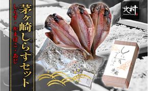 茅ヶ崎 しらす セット 生 新鮮 しらす 300g しらす かまぼこ 1本 あじ 3枚 とれたて 網元 船 茹で上げ ゆでる 天日干し 白 透明 湘南 相模湾 朝獲れ  食卓 干物しらす丼 ポン酢 卵 海 漁 湯切り おつまみ お酒 冷凍 神奈川県 茅ケ崎市