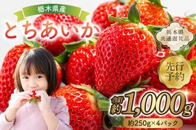 ns120-001 【先行予約】 栃木県産 とちあいか約250g×4パック 【栃木県共通返礼品】