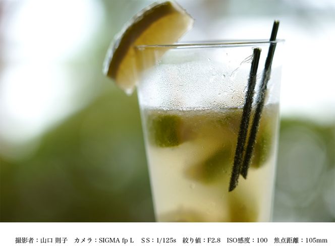 SIGMA 28-105mm F2.8 DG DN | Art【Lマウント】（数量限定）