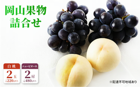 桃 ぶどう 2026年 先行予約 果物 詰合せ 白桃 2玉（1玉220g以上）ニューピオーネ 2房（1房480g以上）化粧箱入り もも 葡萄 岡山県産 国産 フルーツ 果物 ギフト 上品な甘み とろける 強い甘み 酸味 [№5735-1468]