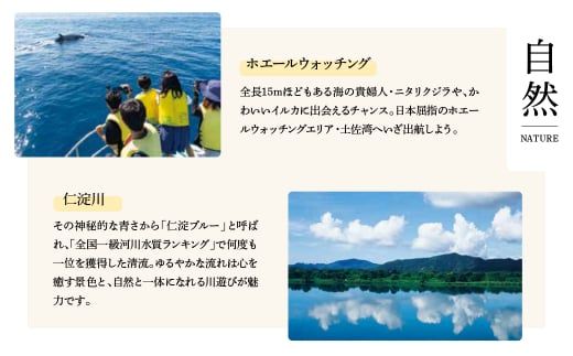TheRoam 1泊2日 宿泊招待券 一棟貸し素泊まり 1名様 / 宿泊 ホテル 旅行 旅 観光 自然 旅行 貸切 高知県 土佐市【株式会社　ダイセイ】[BQDG001]