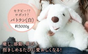 犬型セラピー？！ロボット？パトランの白（通称：シロラン）犬 ぬいぐるみ 糸島市 / 科学工房未來 [AYI003]