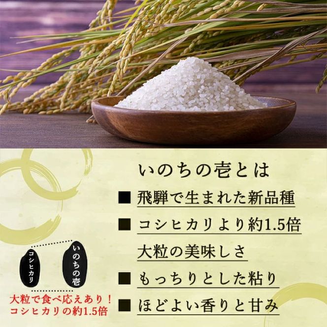 定期便 6ヶ月 ベストファーマーズ賞受賞 いのちの壱 白米 5kg 無農薬 令和8年産 米 お米 チャック付 チャック 小分け  産地直送 長野 定期 6回