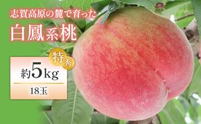 【2026年発送】志賀高原の麓で育った 桃（白鳳系）特秀18玉 約５kg 桃 もも 白鳳 フルーツ 果物 デザート 長野県 長野