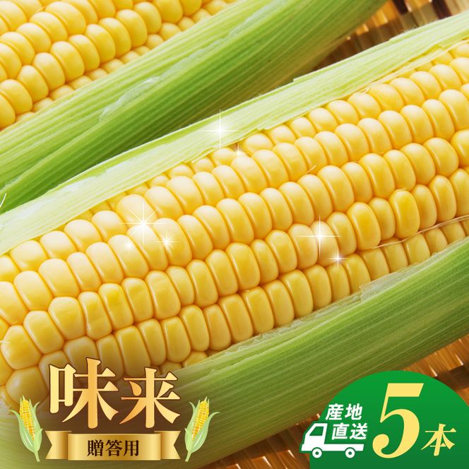 とうもろこし 味来 贈答用 5本 トウモロコシ 宮城県産 甘い 夏 朝採れ 産地直送 宮城県 大河原町