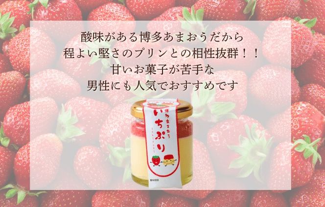 【道の駅むなかた】博多あまおういちごプリン「いちぷり」8個セット_HA1830