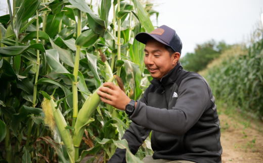 [先行受付]2026年産 スウィートコーン!「はちみつのような甘さのミエルコーン」11本【配送不可地域：離島】  BHRG004