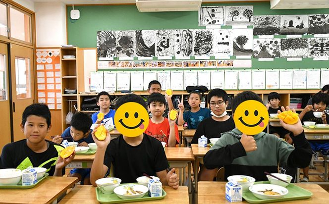 【2027年発送】濃密マンゴー《優品・約2kg》大宜味村農家さんから直送！