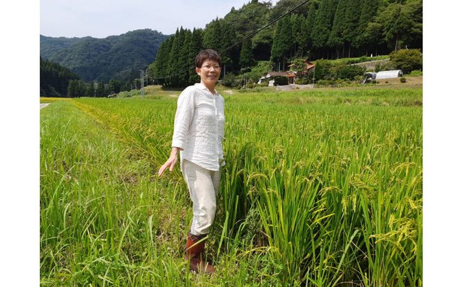 【定期便全3回】【令和8年産】有機肥料米ナオちゃんのお米【出雲市産きぬむすめ】計30kg （5kg×2袋ずつ） お米 精米 有機肥料米 美味しい 出雲市産【10月以降発送】 322032_FX005