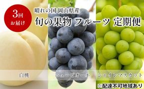フルーツ 定期便 【2026年 先行予約】 晴れの国 旬の 果物 3回お届け便 岡山 白桃 2kg(5玉～7玉) ニュー ピオーネ 4房2kg以上  シャインマスカット 4房(2.4kg以上) 岡山県産 国産 セット ギフト