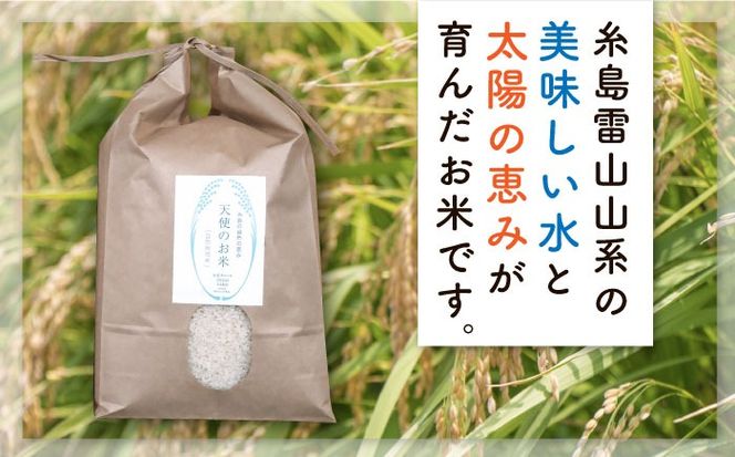 【先行受付中】【令和8年産 新米】自然栽培 ヒノヒカリ 5kg 【2026年11月上旬以降順次発送】《糸島》【大石ファーム】 [ATE001]