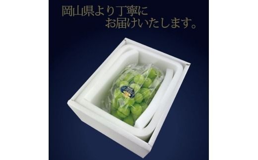 ぶどう 2026年 先行予約 9月・10月発送 高級品 シャインマスカット 晴王 1房 約750g ブドウ 葡萄 岡山県産 船穂産 フルーツ 果物 ギフト
