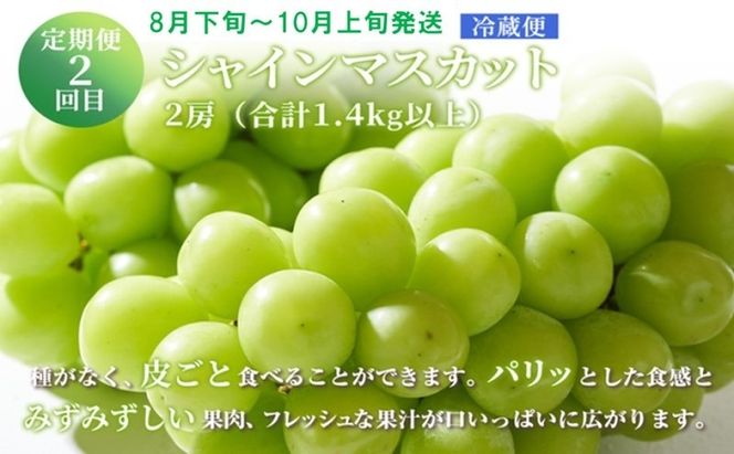 フルーツ 定期便 【2026年 先行予約】 晴れの国 おかやま の 白桃 2kg(5玉～7玉) シャインマスカット 2房 合計1.4kg以上 岡山県産 国産 セット ギフト