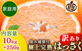 ＜4月より発送＞家庭用 樹上完熟はっさく10kg+250g（傷み補償分）有田の春みかん・五月八朔・さつきはっさく・木生りはっさく・きなりはっさく【光センサー選別】訳あり