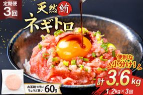 3回 定期便 天然 マグロ ネギトロ まぐろたたき 冷凍 60g 20個 計1.2kg [トライ産業株式会社 静岡県 吉田町 22424395] 小分け 個包装 まぐろのたたき 鮪 まぐろ ネギトロ丼 ねぎとろ マグロたたき