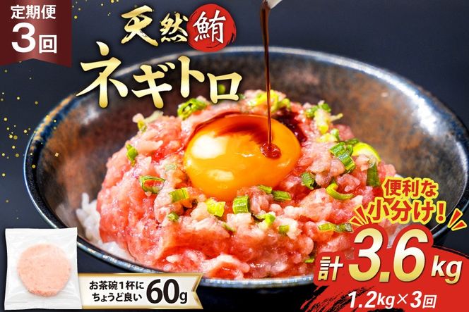 3回 定期便 天然 マグロ ネギトロ まぐろたたき 冷凍 60g 20個 計1.2kg [トライ産業株式会社 静岡県 吉田町 22424395] 小分け 個包装 まぐろのたたき 鮪 まぐろ ネギトロ丼 ねぎとろ マグロたたき