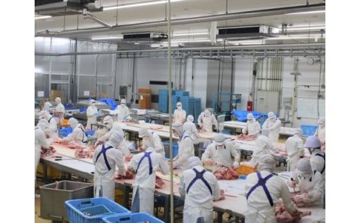 【部位4種食べ比べ！】九州産豚肉４種　贅沢セット　2.25㎏（国産 豚 豚肉 バラ ロース しゃぶしゃぶ 大容量 冷凍 送料無料）