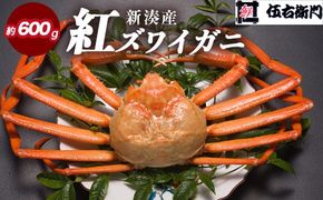 【伍右衛門】新湊産紅ズワイガニ約600g｜ずわい蟹 ずわいガニ ズワイガニ ※離島への配送不可 ※2025年10月上旬～2026年3月下旬頃 ※発送まで1か月以上かかる場合があります。