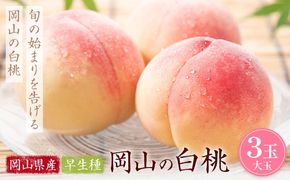 【2027年発送先行予約】岡山の白桃 早生種 大玉3玉 約900g 晴れの国おかやま館 (つむぐ株式会社) 《2027年6月下旬-7月中旬頃出荷》岡山県 笠岡市 フルーツ 果物 果実 桃 白桃 もも モモ【配送不可地域：離島】---H-99---