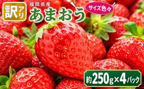訳あり いちご 2027年2月中旬より発送 あまおう サイズ色々 4パック 約1kg 配送不可 離島 果物 フルーツ 福岡県産あまおう 