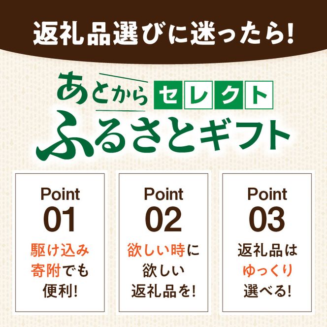 【小牧市ふるさと納税】あとからセレクト【ふるさとギフト】300,000円 ［AS21］ あとからセレクト ふるさとギフト 30万円分 あとから選べる ギフト券 ギフトポイント 後日 選ぶ 後から ゆっくり 選べる 特産品に交換 発行より1年間 愛知県 小牧市 送料無料